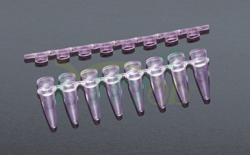 PCR管-2
